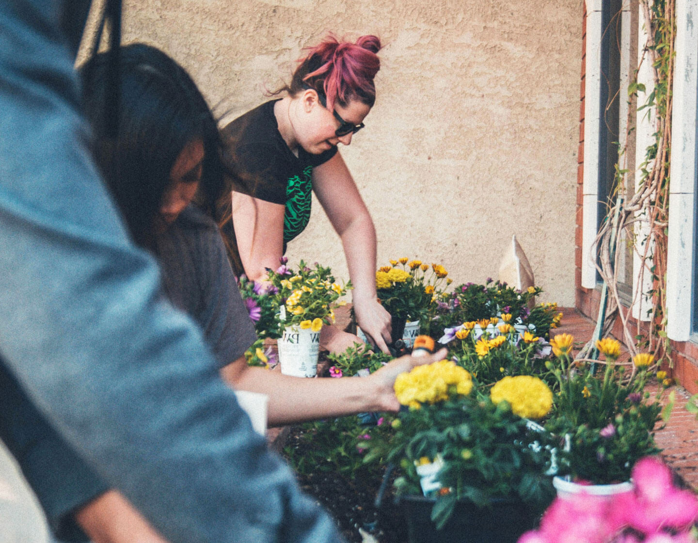 Two women potting colorful flowers outside on a sunny day, focusing intently on their gardening work surrounded by a variety of vibrant plants.