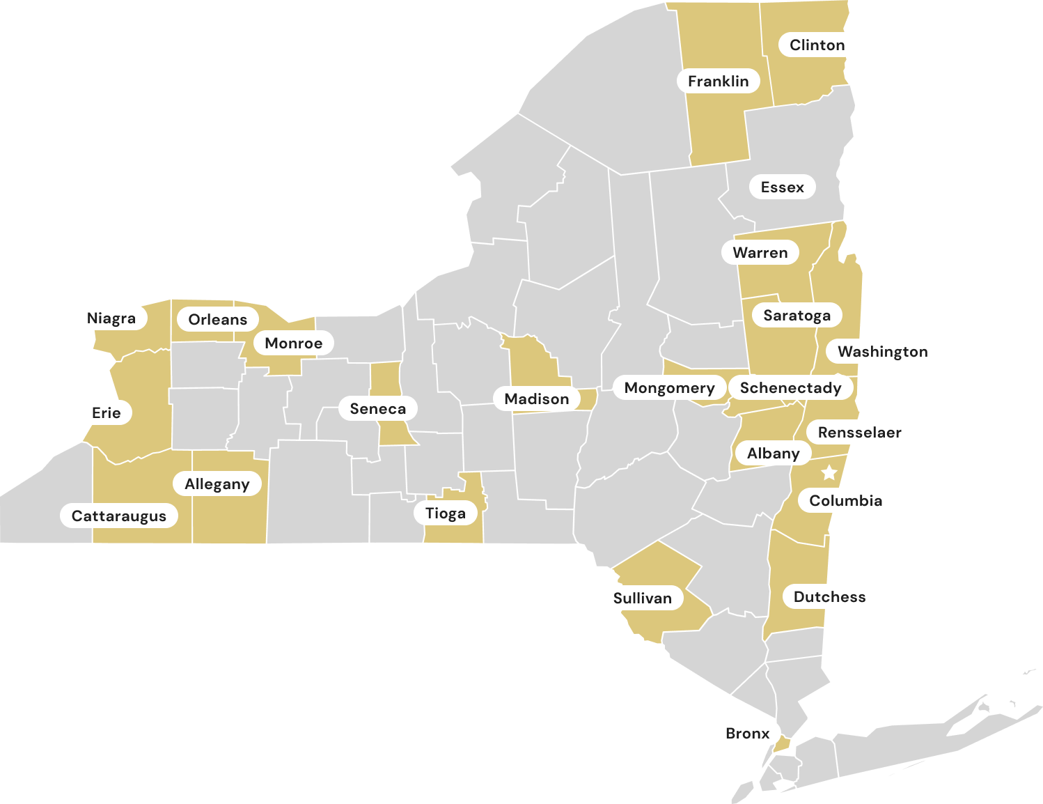 Map of new york state showing various counties in different shades of gray and yellow, highlighting selected counties like erie, monroe, albany, and bronx.