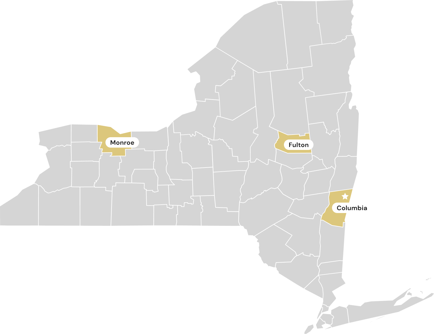 Map of new york state highlighting monroe, fulton, and columbia counties in a dark monochrome base with labeled counties in a contrasting color.