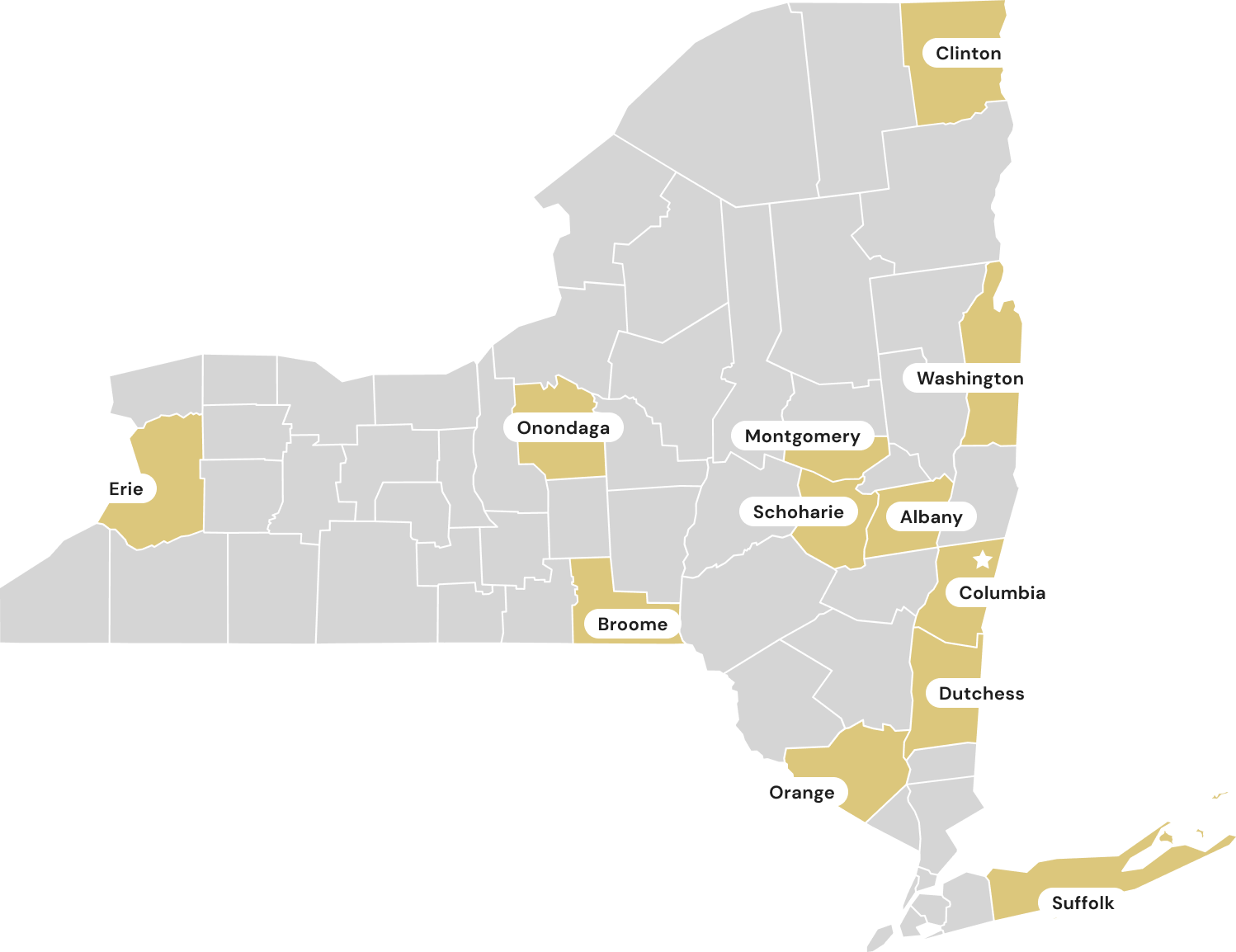 Map of new york state showing selected counties highlighted in yellow, including erie, broome, onondaga, albany, and suffolk, with county names labeled.