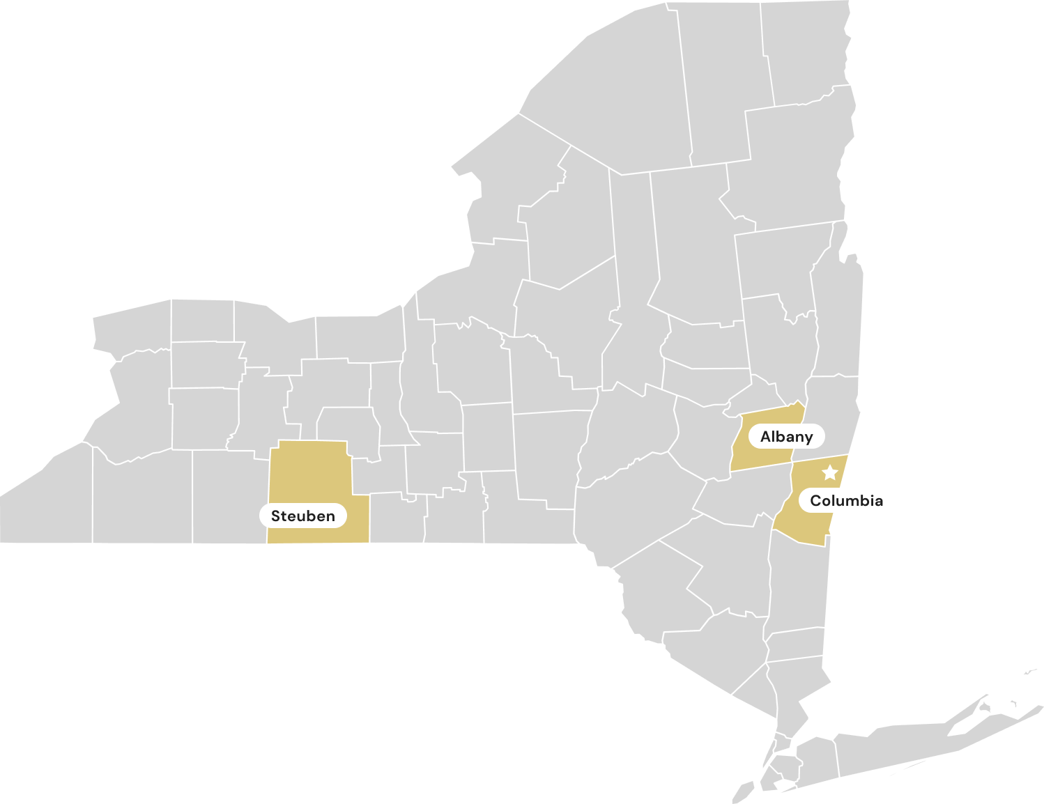 A map of New York state highlighting three counties in light yellow: Steuben in the southwestern region, Albany in the eastern central region, and Columbia in the southeastern region. Albany is marked with a star.
